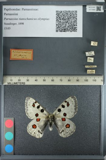 Media type: image;   Entomology 174884